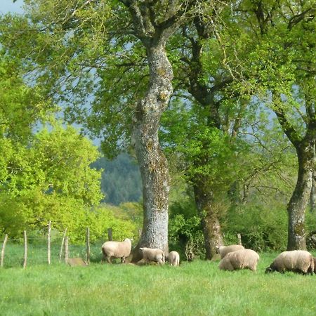 הוילה Barrais-Bussolles Maison De Campagne Ideale Pour Familles, Cavaliers, Animaux Acceptes, Avec Jardin Clos Et Tout Equipe. - Fr-1-489-172 מראה חיצוני תמונה